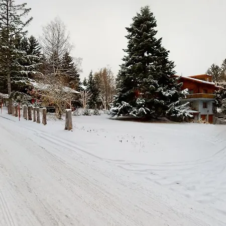 5min. From The Slopes Crans-montana, 2 Bedrooms, Covered Parking Apartament Crans-Montana